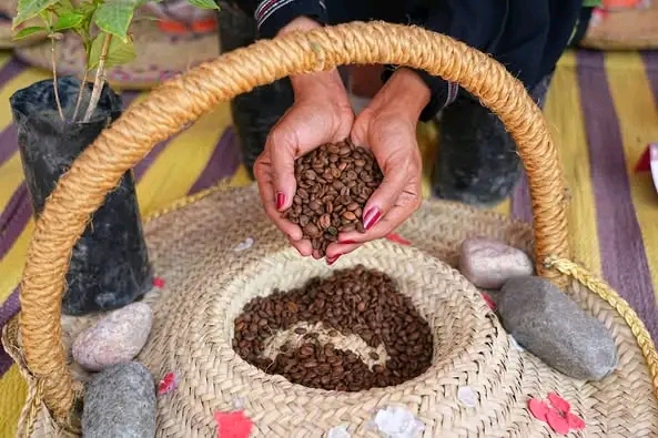 عرض أنواع البن